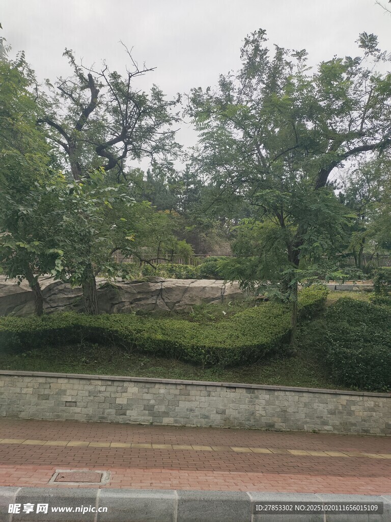 户外绿意盎然的自然景致