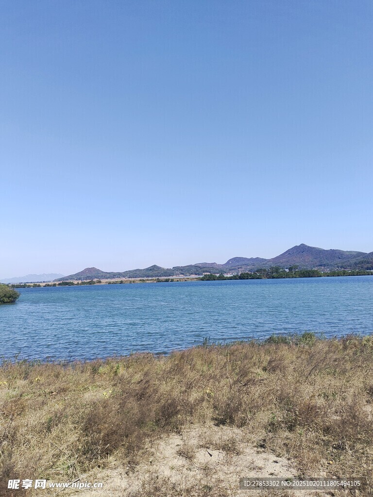 湖畔旷野