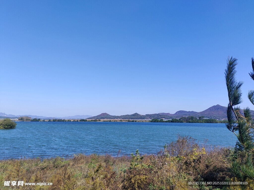 湖畔绿植与远山的美丽景致