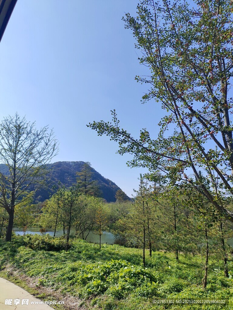 山间绿意盎然的自然小径