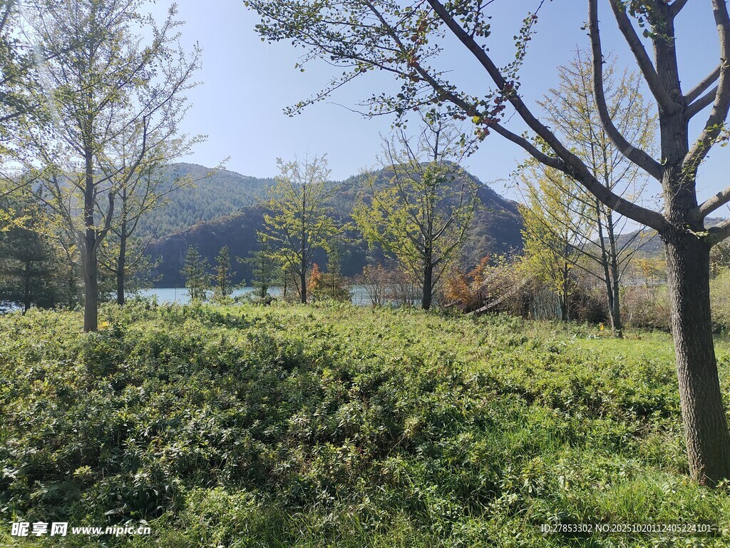 湖畔绿意盎然的自然景致