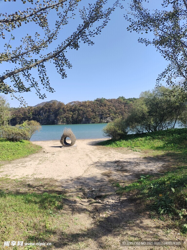 湖畔林荫下的宁静风光