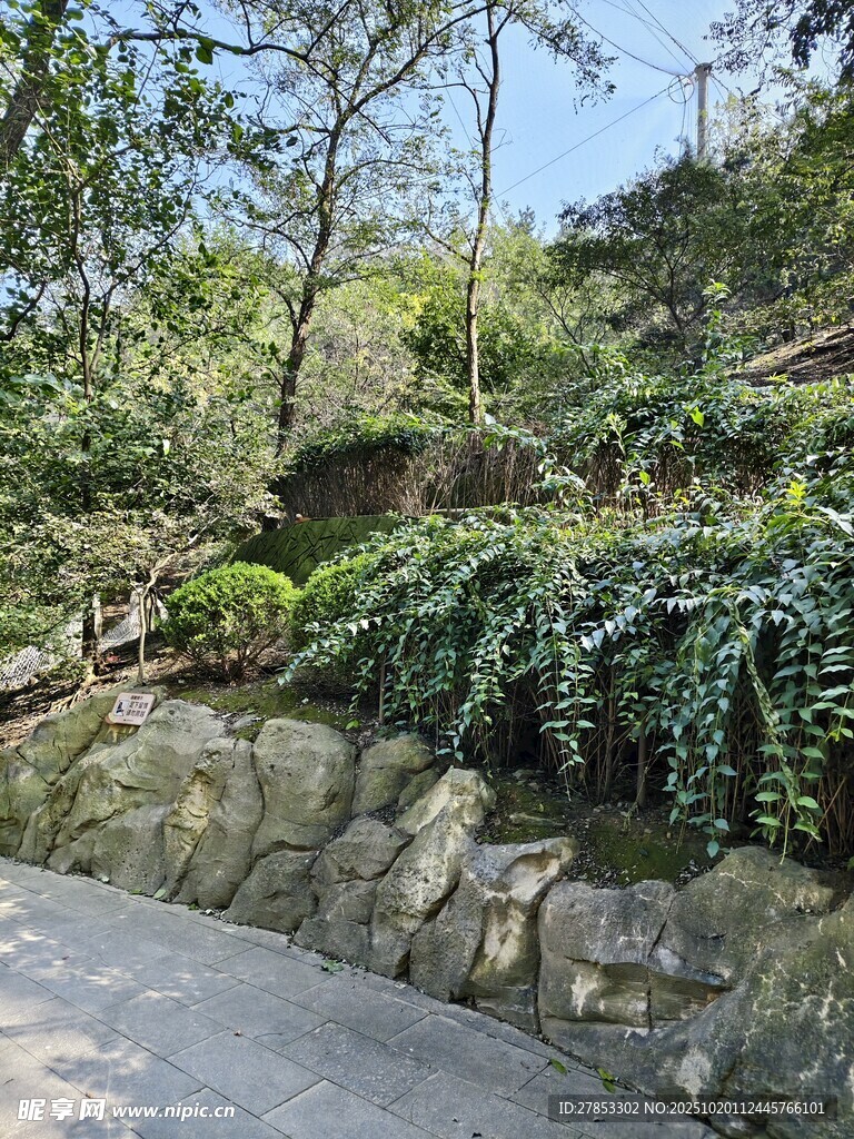 路边绿植岩石景观