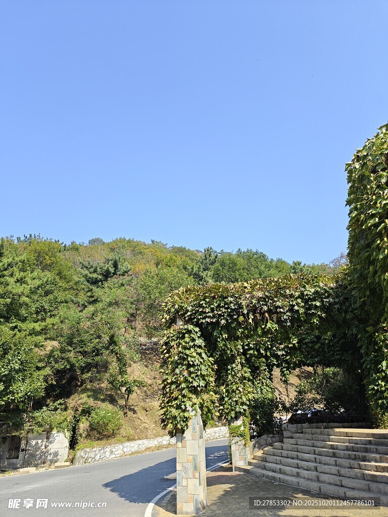 山间绿荫小道