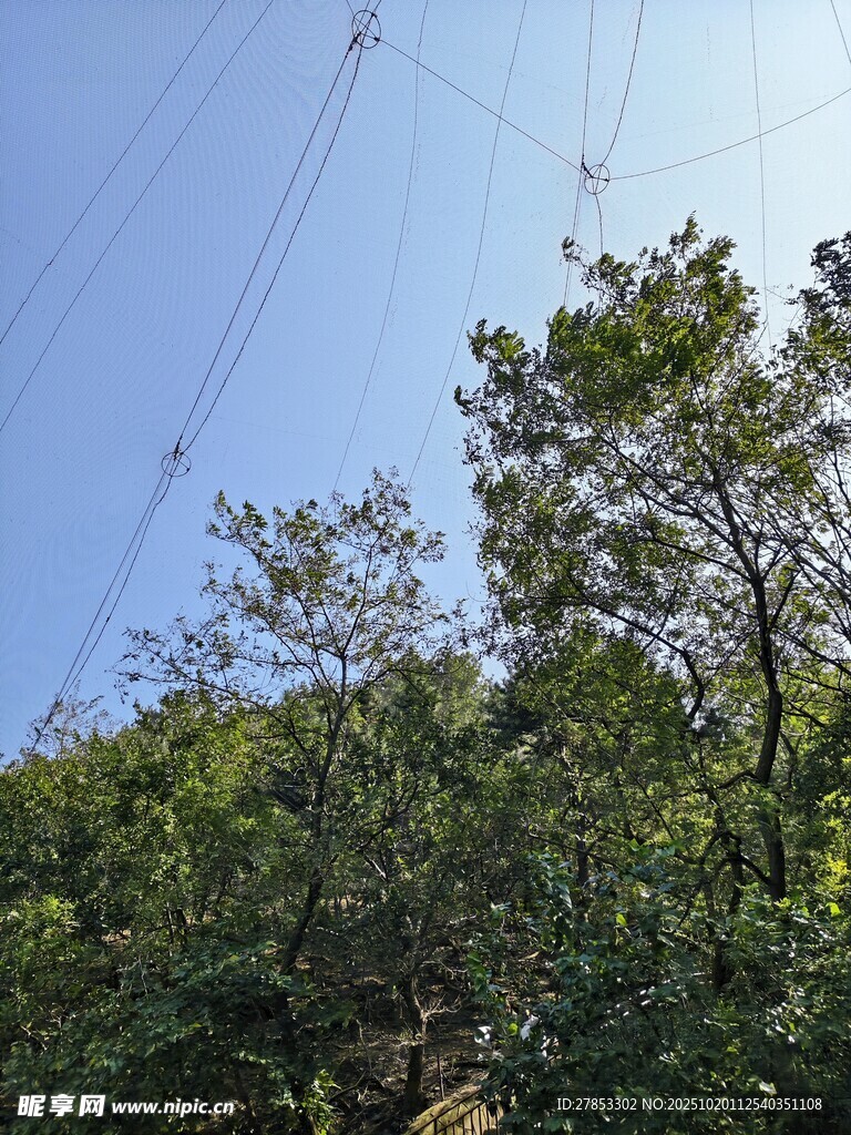 山林间的架空电线