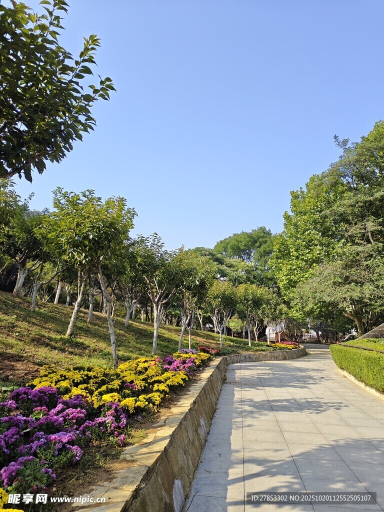 美丽园林景观步道