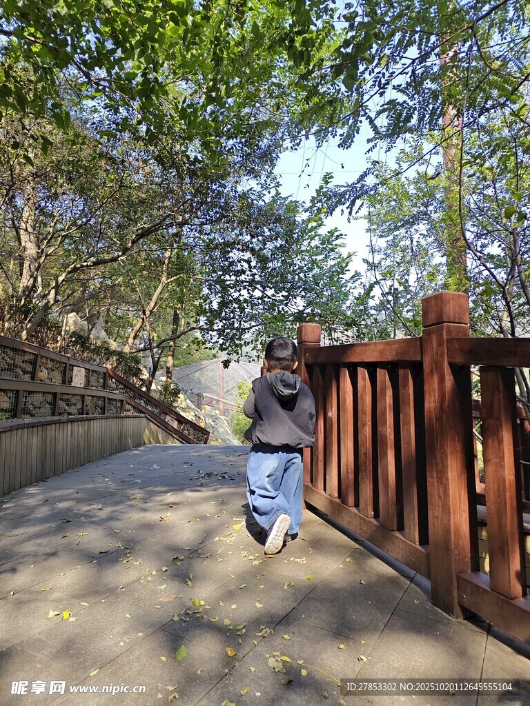林间小道上行走的孩童