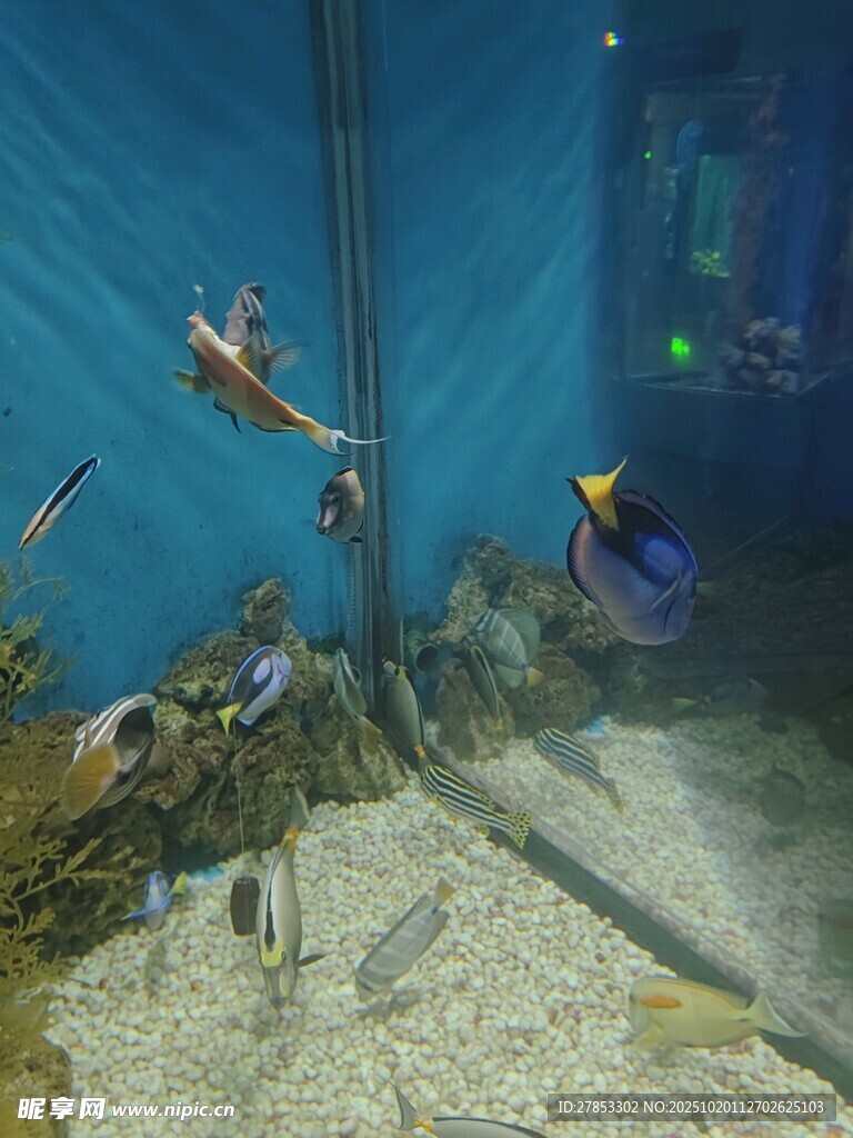 海底世界景象