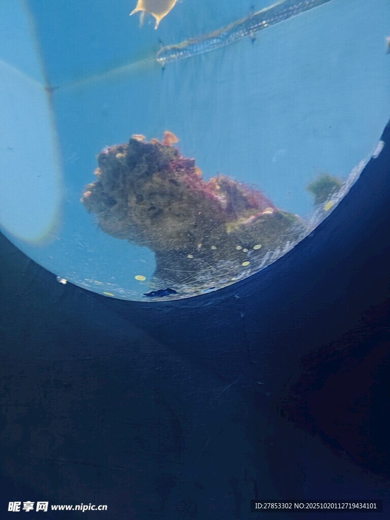 飞机视角下的海上岛屿