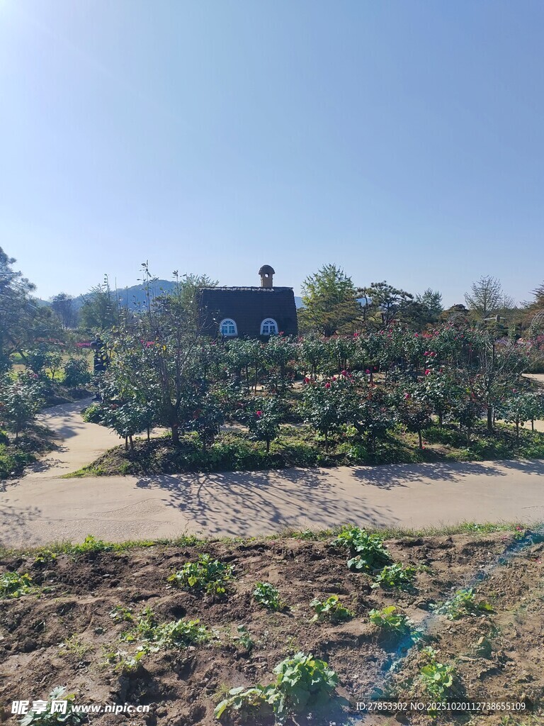乡村田园风光景色