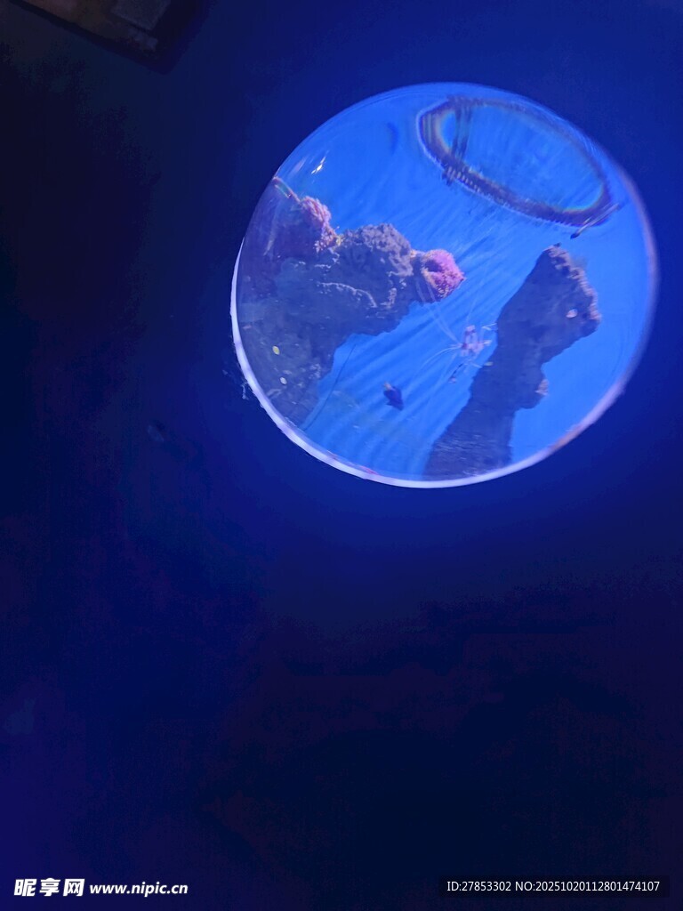 梦幻蓝色圆形艺术装置