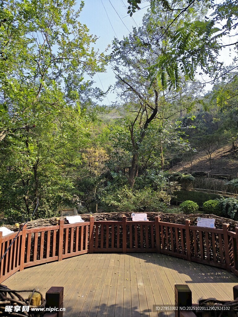 林间圆形观景平台