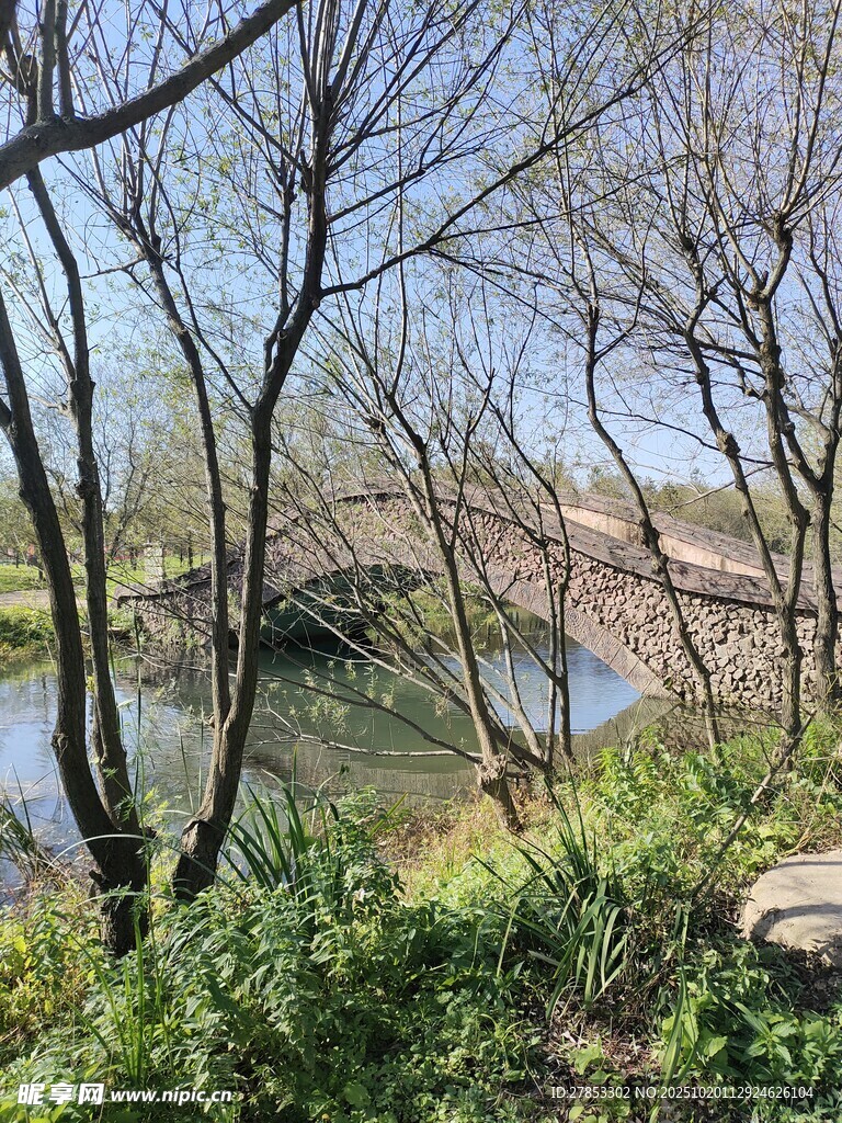 春日河畔风景