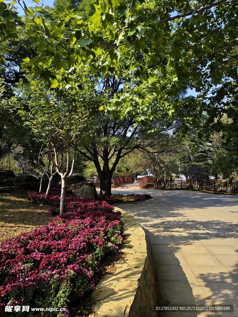 园林小径的绿植花卉景观