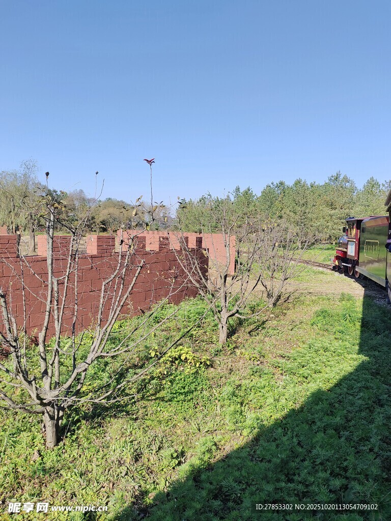 春日果园小径风景
