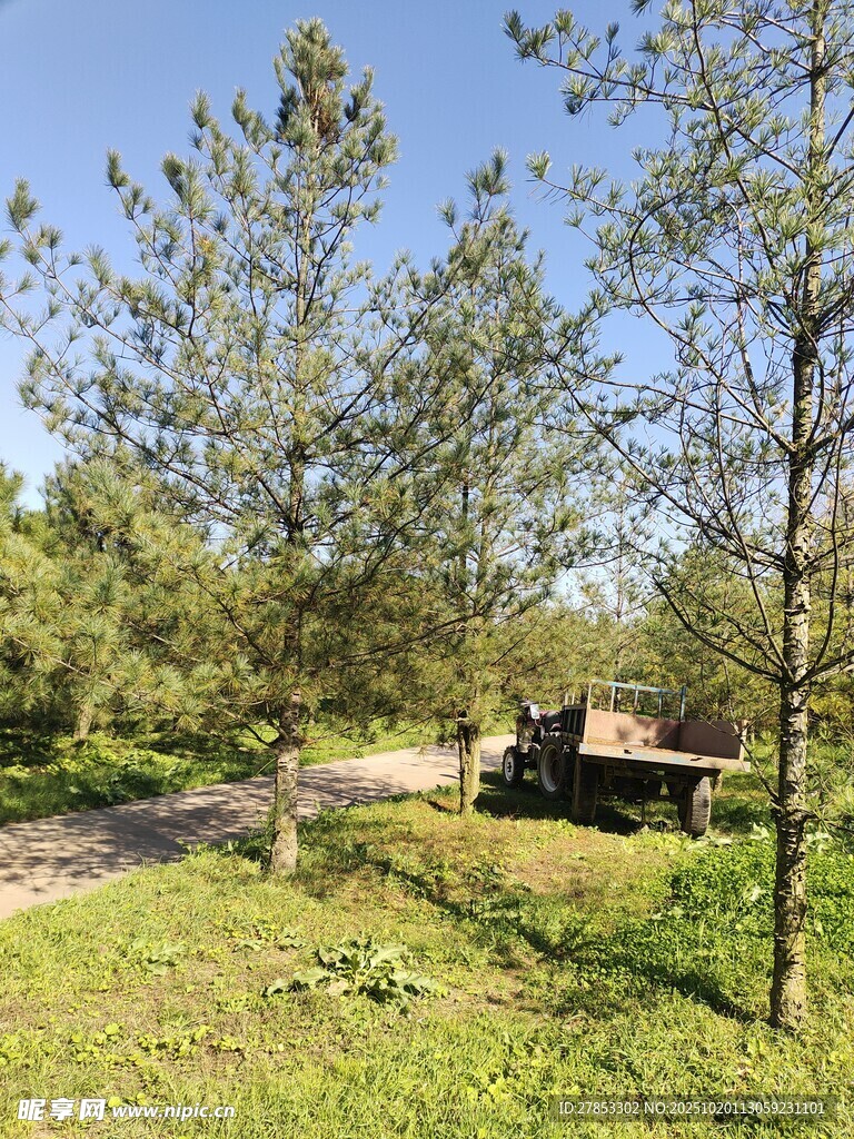 林间小屋
