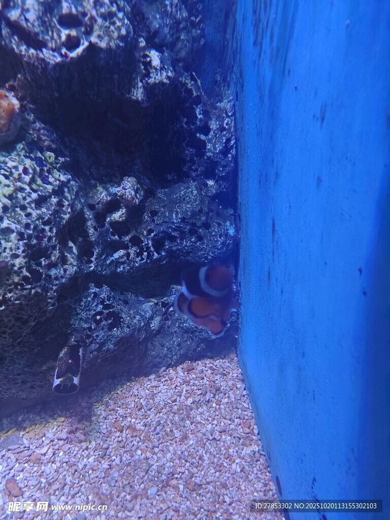 水族馆内的神秘海底景象