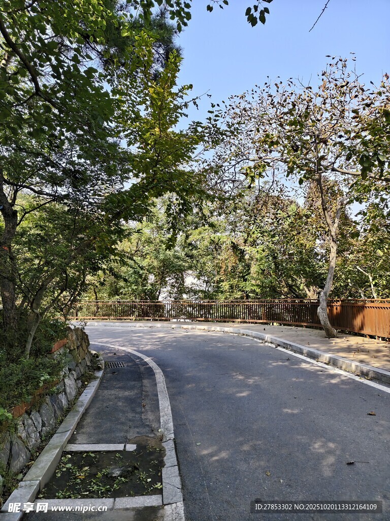 林间蜿蜒小路