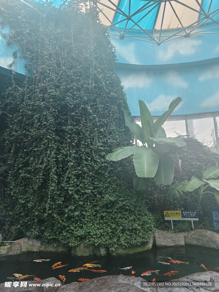 室内绿植景观