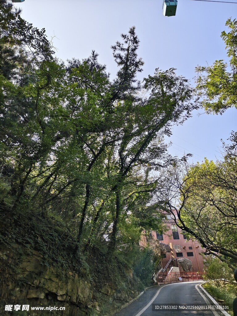 林间公路