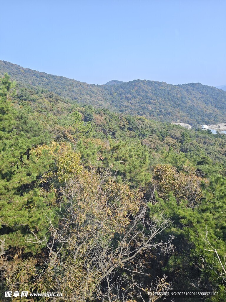 山林绿意景观