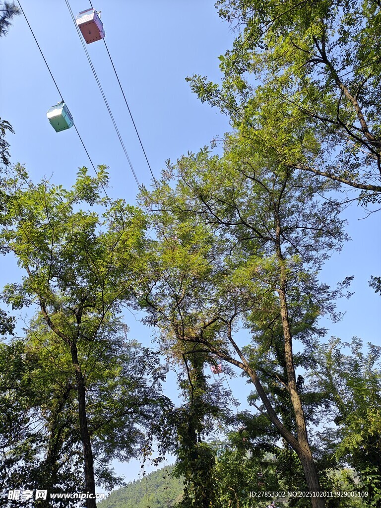 林间缆车穿梭于蓝天绿树