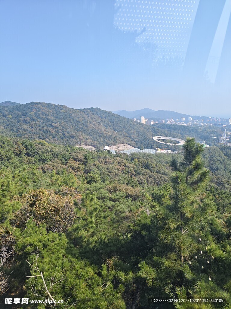 山林绿意景观