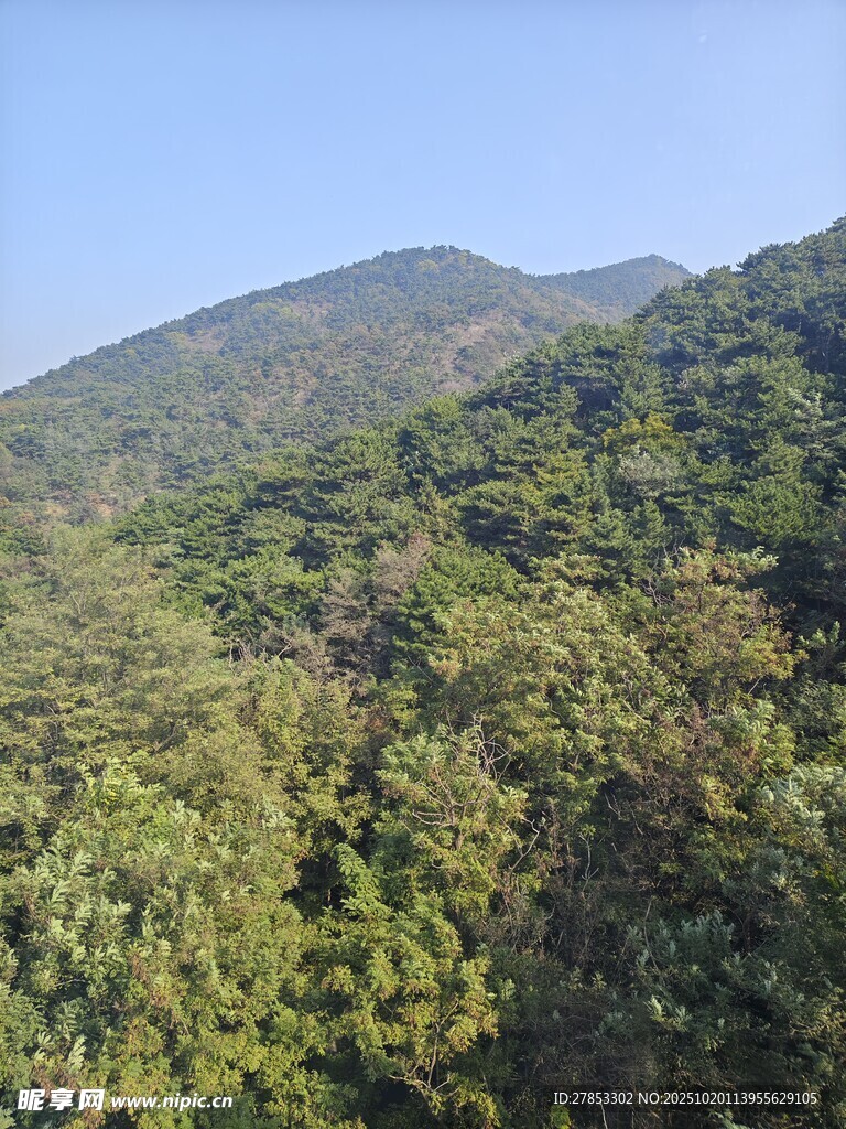 青山翠林的自然景致