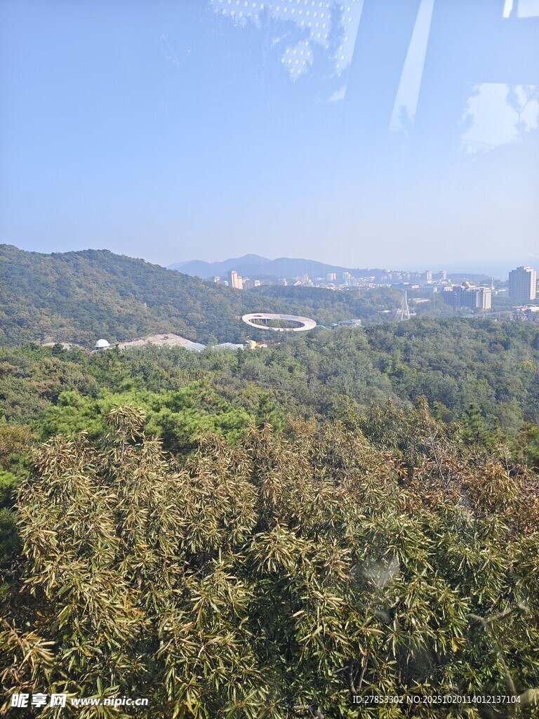 俯瞰绿意盎然的山林景色