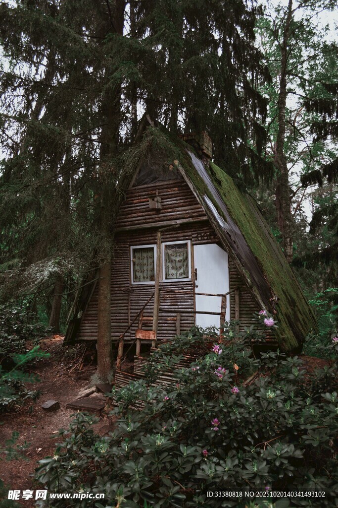 森林中的古朴小屋