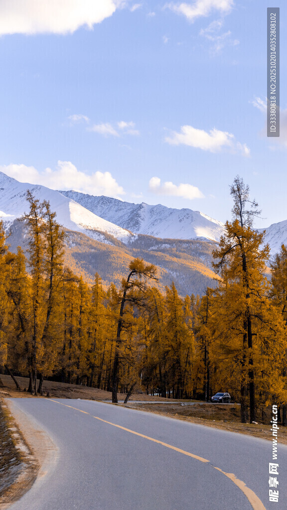 秋日山间蜿蜒公路美景