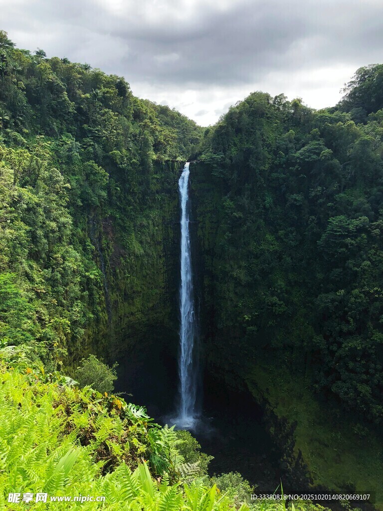 壮观丛林瀑布景观