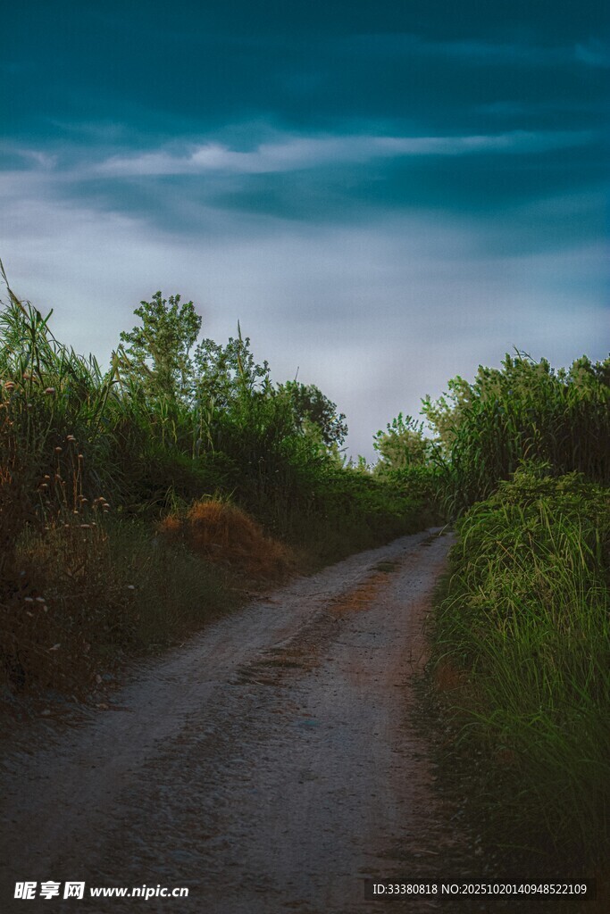 乡间小路