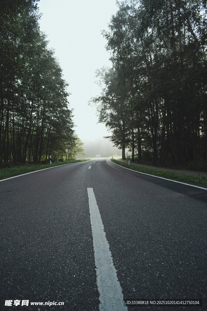 林间公路