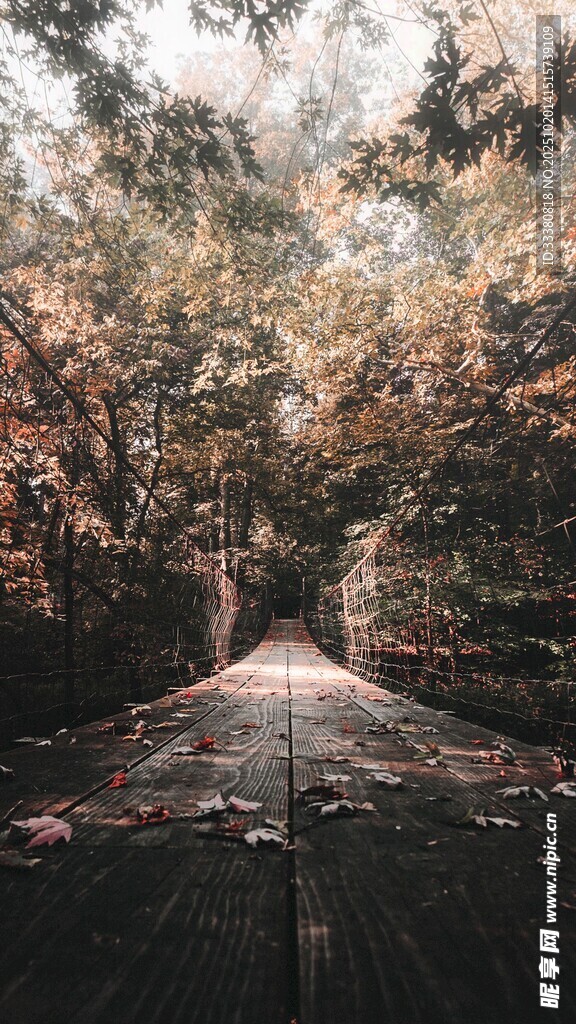 秋日林间小道美景