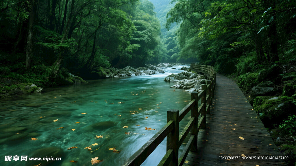 林间溪边木栈道清幽景致