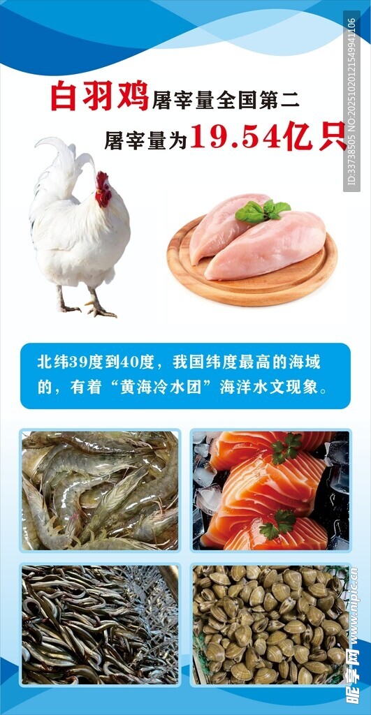 白羽肉鸡养殖及超市鱼类展示