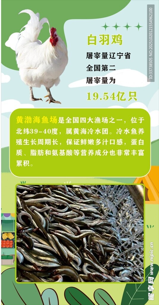 生态养殖白鸡与鱼超市海报