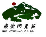 我爱阿克苏图标