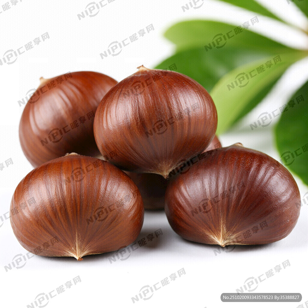 板栗仁