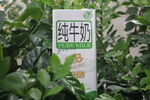 纯牛奶包装