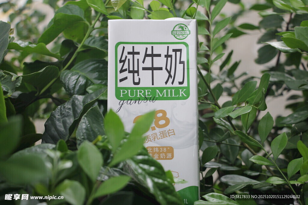 纯牛奶包装