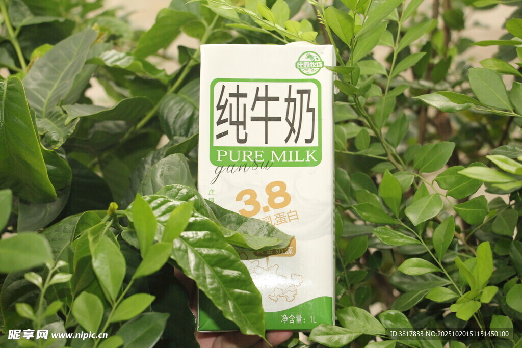 绿叶间的纯牛奶包装