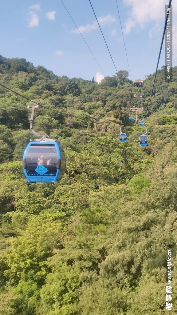 缆车穿梭于翠绿山林间
