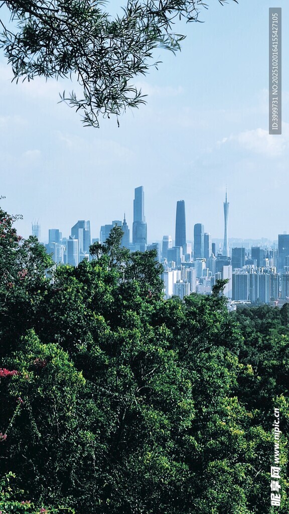 绿树掩映下的城市天际线
