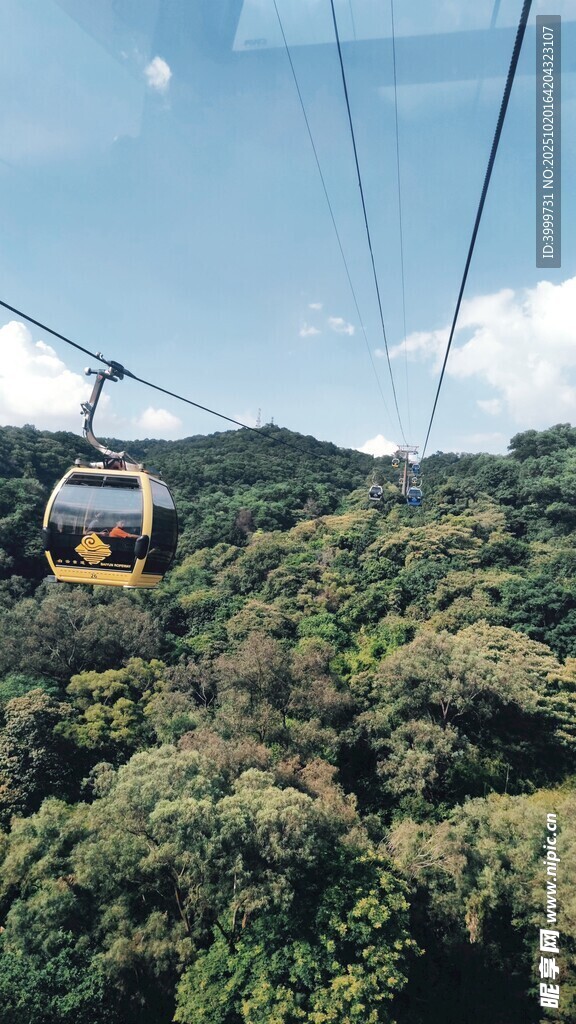 缆车穿梭于葱郁山林间
