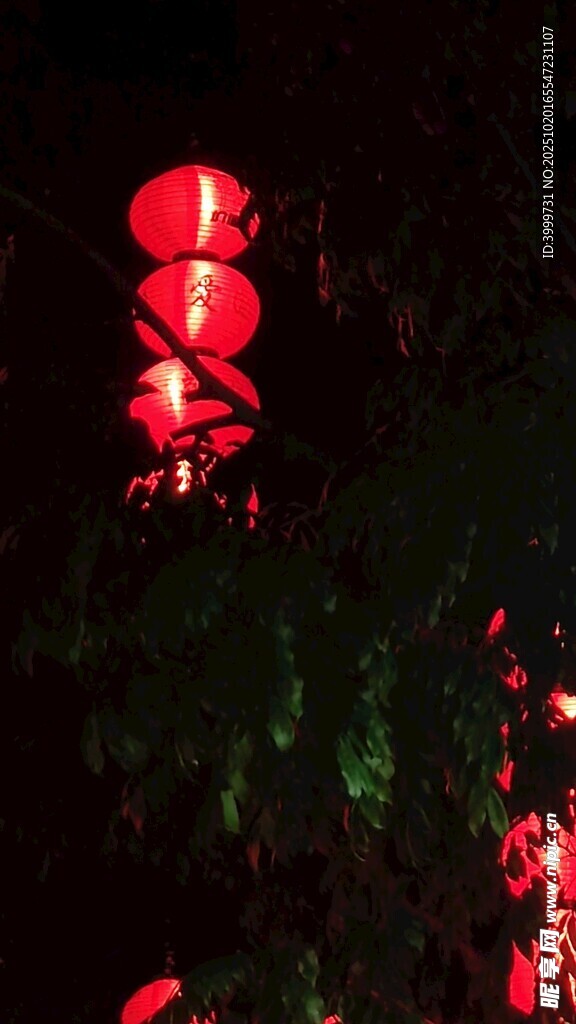 夜中红灯笼 喜庆氛围感