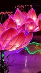 绚丽多彩莲花造型花灯