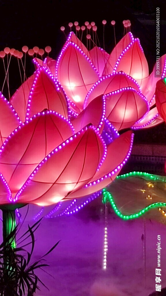 绚丽多彩莲花造型花灯