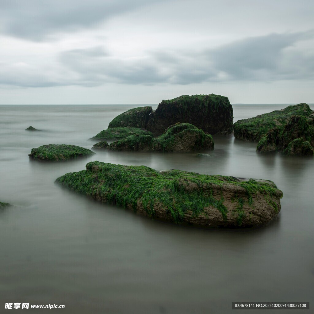 海边覆绿苔的礁石景观